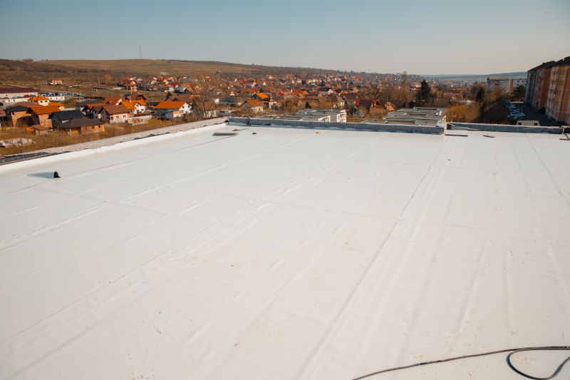 Roof Coating Application